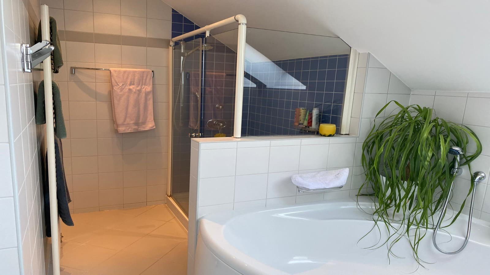 Duschplatz vor der Badrenovierung Duschplatz vor der Badrenovierung